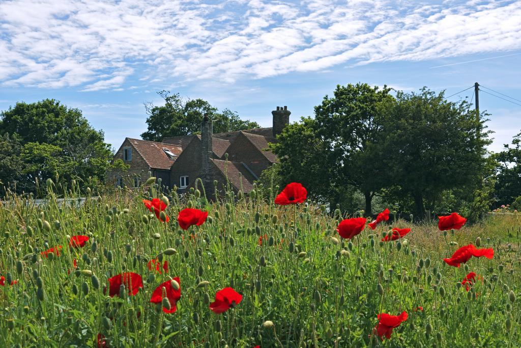Starnash Farmhouse Bed And Breakfast Hailsham Zimmer foto