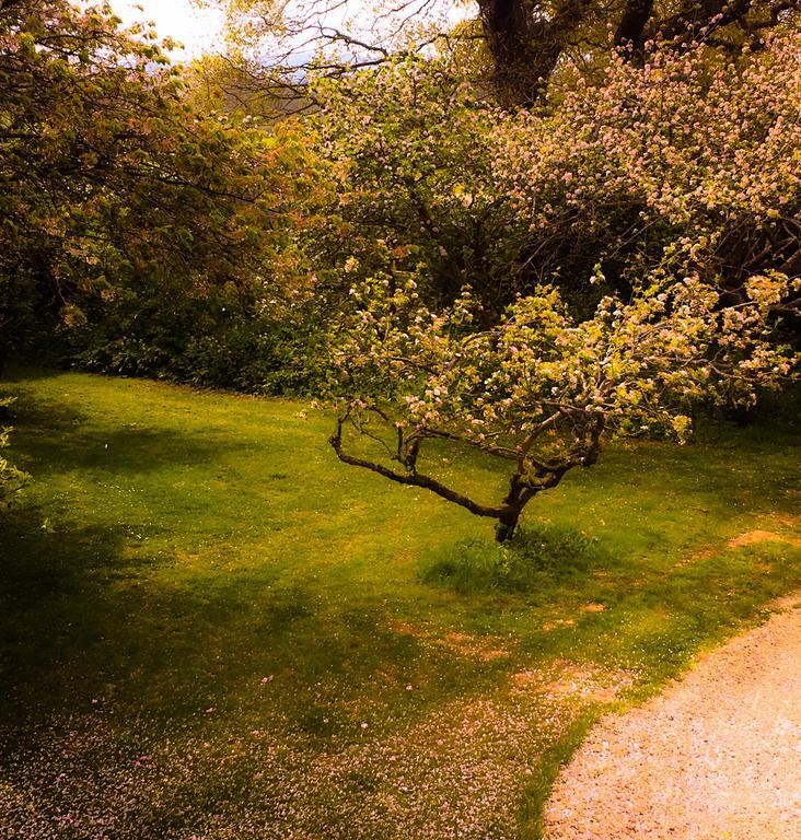 Starnash Farmhouse Bed And Breakfast Hailsham Exterior foto